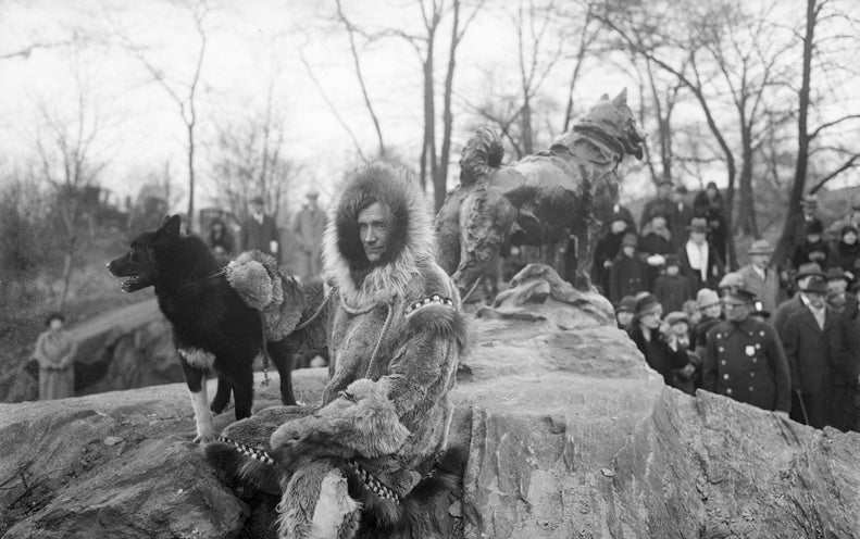 The Lifesaving Sled Pet dog Balto Experienced Genes contrary to These of Dog Breeds Nowadays