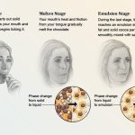 The Science of Melting Chocolate