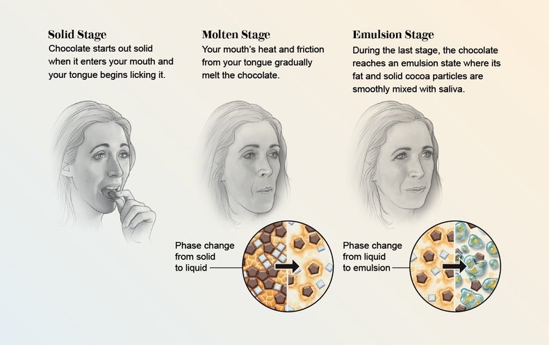 The Science of Melting Chocolate
