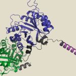 Proteins In no way Seen in Nature Are Made Utilizing AI to Tackle Biomedical and Industrial Issues Unsolved by Evolution