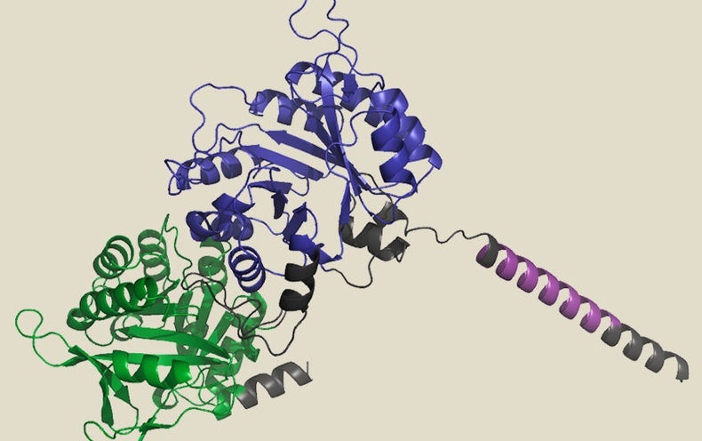 Proteins In no way Seen in Nature Are Made Utilizing AI to Tackle Biomedical and Industrial Issues Unsolved by Evolution