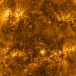 Our Sunlight Was Born in a Stellar Loved ones Significantly, Significantly From Below