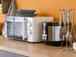Men are like microwaves, Females are like crockpots – Dr. Claudia 6, PhD