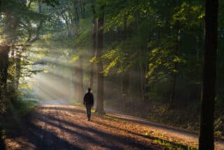Contacting all the single males – Dr. Claudia 6, PhD