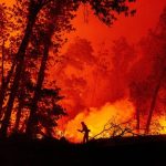 Local climate Change Is Escalating California’s Wildfires