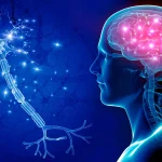 Hi-Tech Implant Will help Paralyzed Man Stroll Far more Naturally