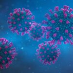 How the Conclusion of the COVID General public Overall health Unexpected emergency Might Affect You