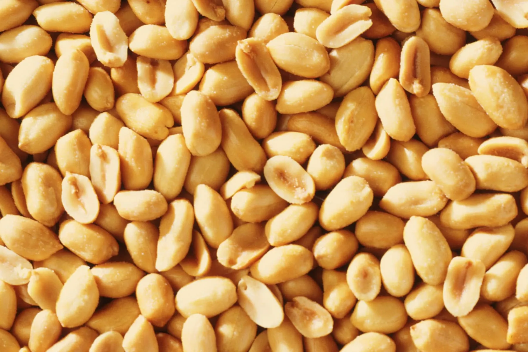 Pores and skin Patch Could Enable Relieve Peanut Allergy in Toddlers