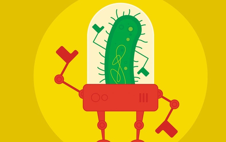 Researchers Make Cyborg Microbes – Scientific American