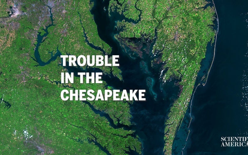 Will the Chesapeake Bay Turn into a Lifeless Zone?