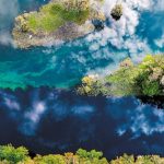 Poem: ‘Confluence’ – Scientific American