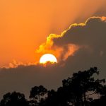International Warming Is Probably to Breach the 1.5 Degrees C Milestone in 5 Decades