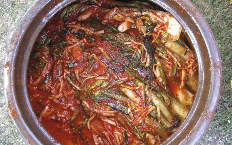 Science Shows Why Common Kimchi Building Will work So Effectively