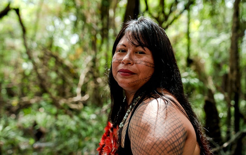 How Winners of the ‘Green Nobel’ Are Guarding the Natural environment