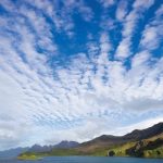 Plankton Deliver a Cloudy Defend about the Antarctic