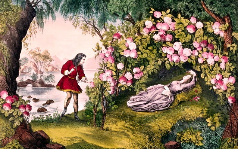 Why the ‘Sleeping Splendor Problem’ Is Trying to keep Mathematicians Awake