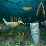 462-Million-12 months-Previous Fossil Trove Retains Miniature Globe of Marine Creatures