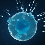 Here is Why Human Sex Is Not Binary
