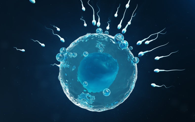 Here is Why Human Sex Is Not Binary