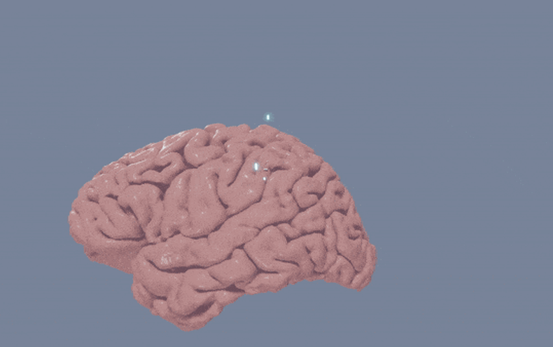 A Mind Scanner Put together with an AI Language Product Can Provide a Glimpse into Your Ideas