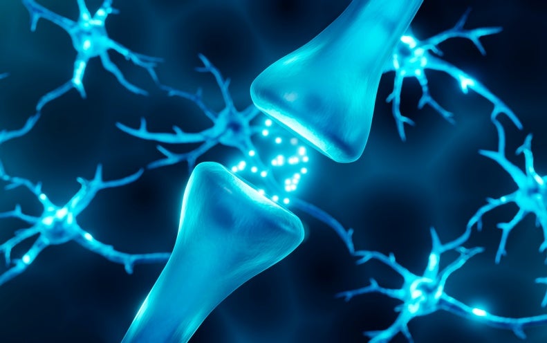The Kavli Prize Presents: Understanding the Machinery of the Cell [Sponsored]