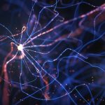 Surges of Exercise in the Dying Human Mind Could Trace at Fleeting Mindful Experiences