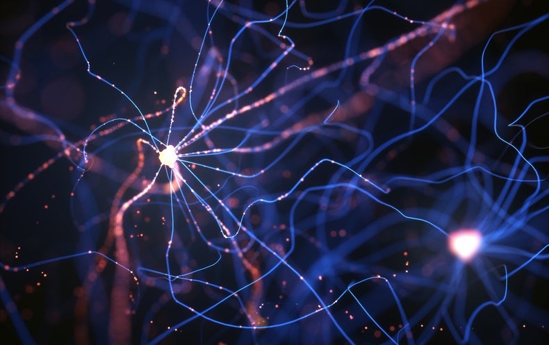 Surges of Exercise in the Dying Human Mind Could Trace at Fleeting Mindful Experiences