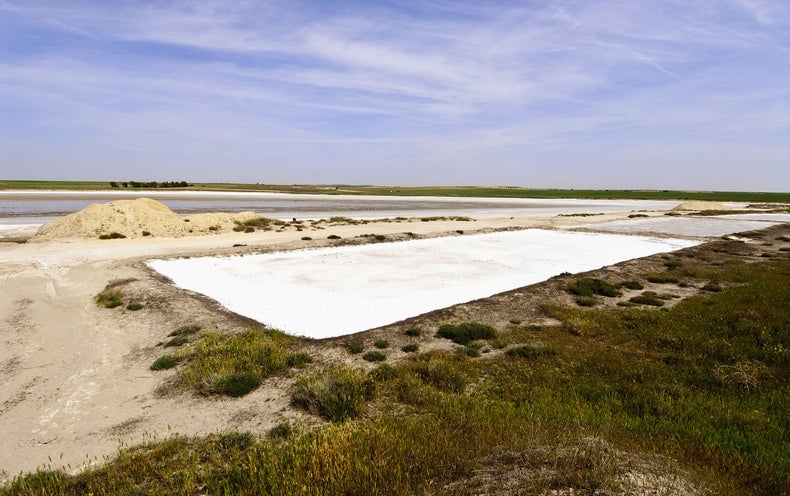 Dried-Up Lagoon Is ‘Time Analog’ for Martian Life
