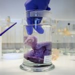 Thousands of New Creatures Found in Deep-Sea Mining Zone