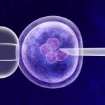1st U.K. Little ones Are Born Applying DNA from A few ‘Parents’