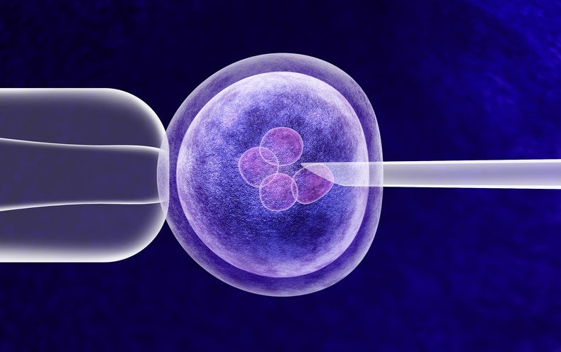1st U.K. Little ones Are Born Applying DNA from A few ‘Parents’