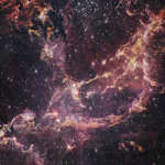 JWST Places Planetary Building Blocks in a Surprising Galaxy