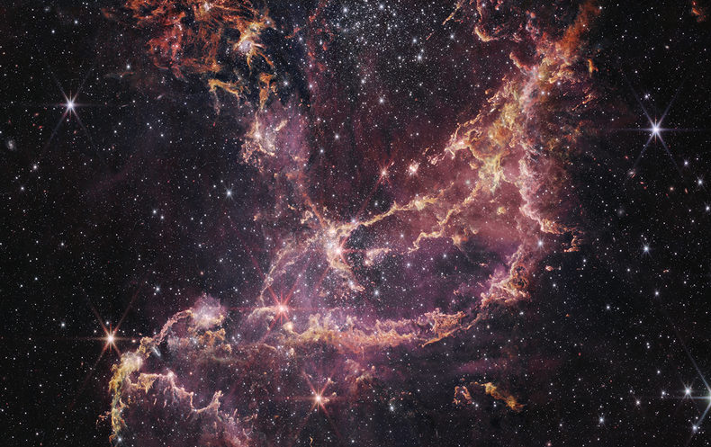 JWST Places Planetary Building Blocks in a Surprising Galaxy
