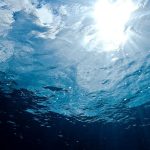 Dismantling the PFAS ‘Forever Chemicals’ Legacy [Sponsored]