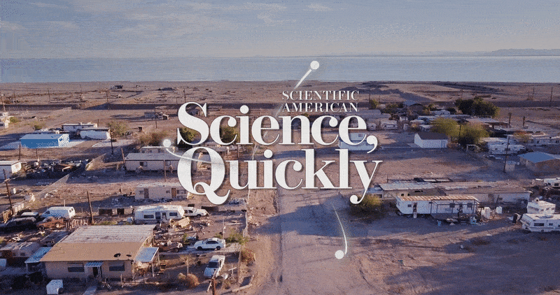Poisons and Perils on the Salton Sea