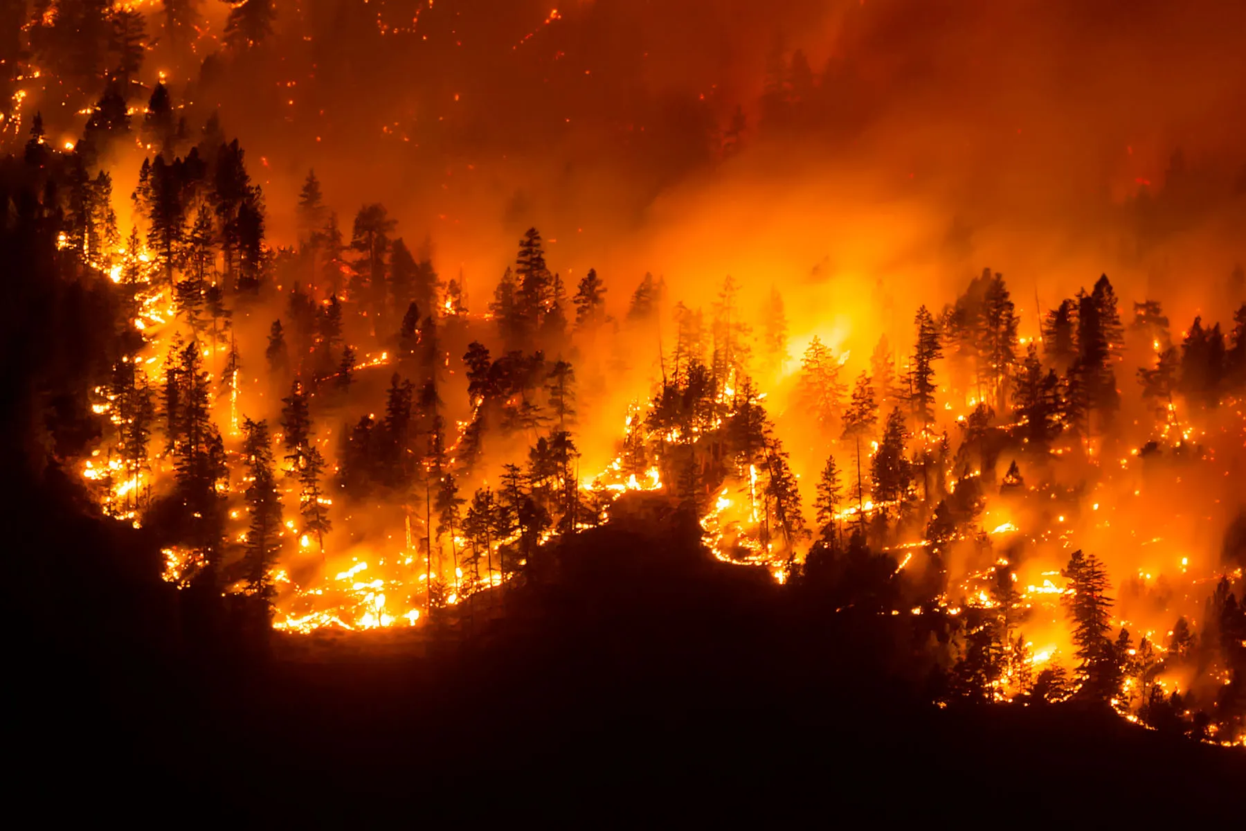Specialists Warn of Heart Dangers From Smoke of Canadian Wildfires