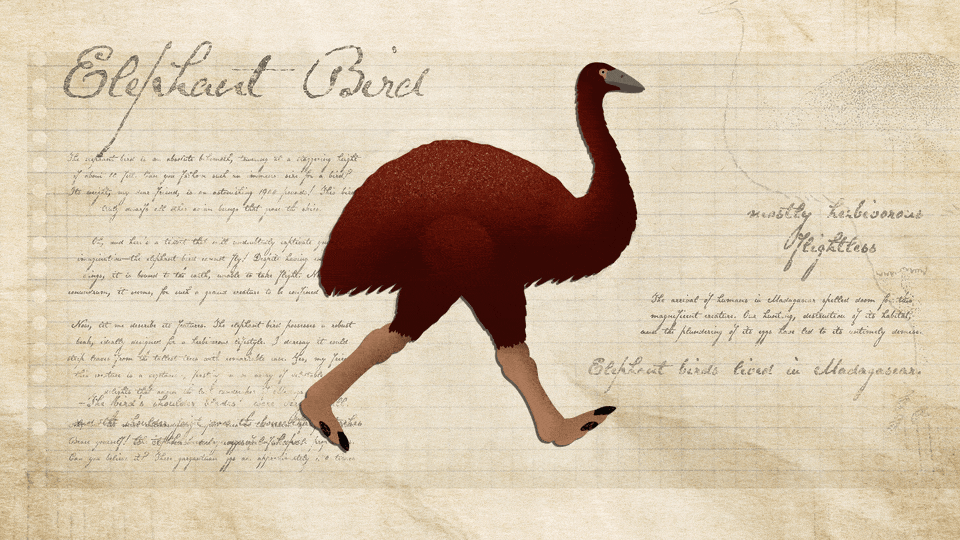 This Gargantuan Bird Weighed as Substantially as a Sports activities Car