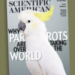 Inside of the Minds of Men and women, Parrots and Bees
