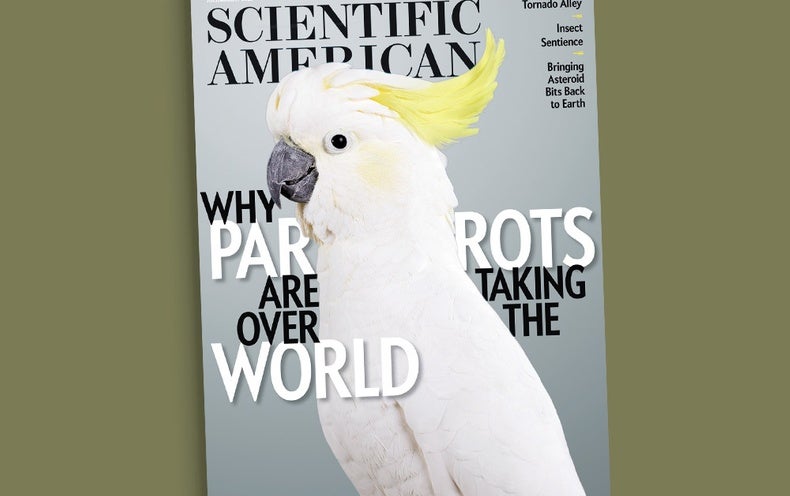 Inside of the Minds of Men and women, Parrots and Bees