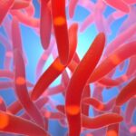 Could Endometriosis Be Triggered by Microorganisms? Analyze Provides Clean Clues