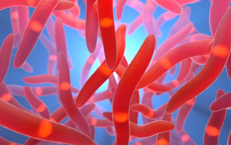 Could Endometriosis Be Triggered by Microorganisms? Analyze Provides Clean Clues