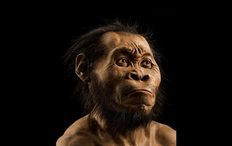 This Little-Brained Human Species May possibly Have Buried Its Useless, Managed Fire and Made Artwork