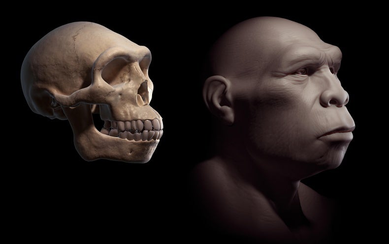 Early Human Ancestors Ate Each Other for Meals, Fossil Leg Bone Indicates