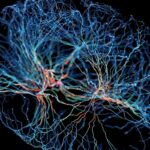 The Kavli Prize Provides: How Your Mind Maps the Earth [Sponsored]