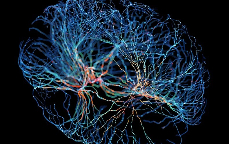 The Kavli Prize Provides: How Your Mind Maps the Earth [Sponsored]