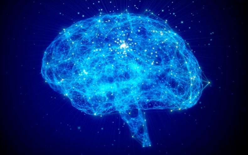 A 25-Calendar year-Previous Wager about Consciousness Has Ultimately Been Settled
