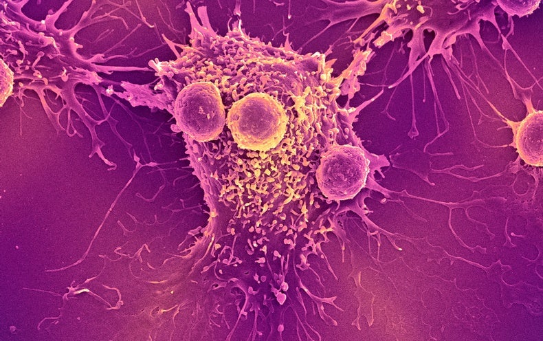 After COVID-19, Can mRNA Vaccines Support with Most cancers as Effectively?