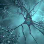 A Neurologist Responses Questions Individuals Could Have about the New Alzheimer’s Drug Lecanemab