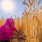 Gals Encounter Higher Burdens from Intense Warmth
