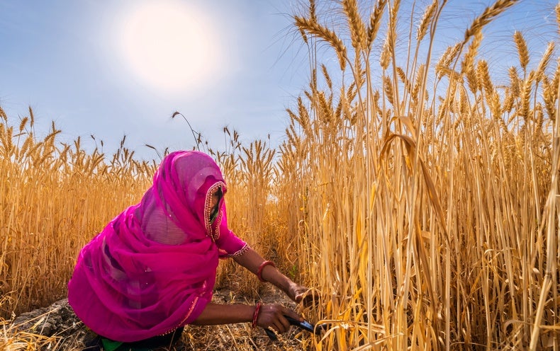 Gals Encounter Higher Burdens from Intense Warmth